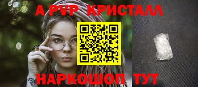 стаф Бузулук